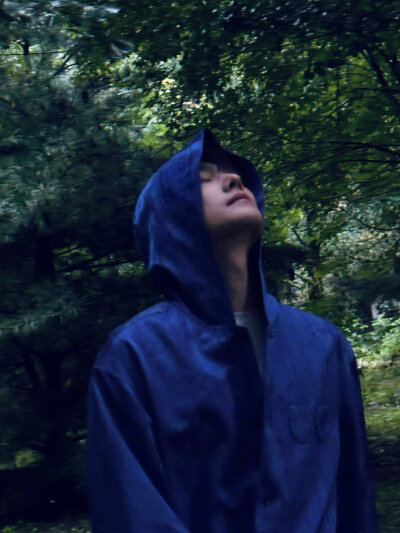 杨洋