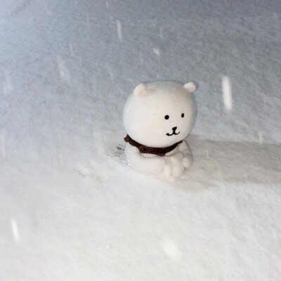 自嘲熊头像
图源各处