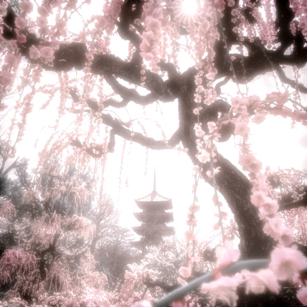 你的呢喃让我辗转反侧