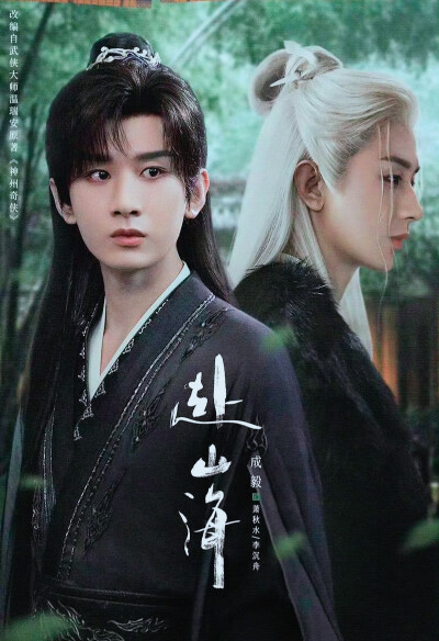 成毅