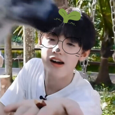 禹禹小草