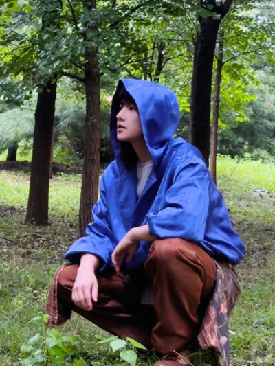 杨洋