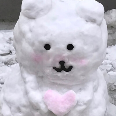 自嘲熊头像
图源各处