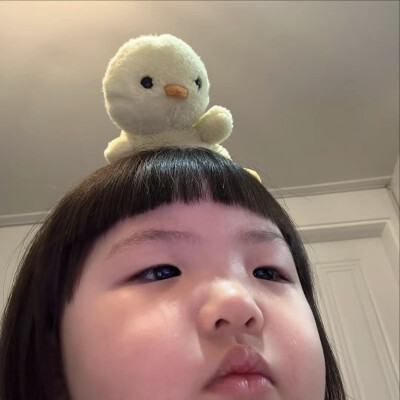 情头
