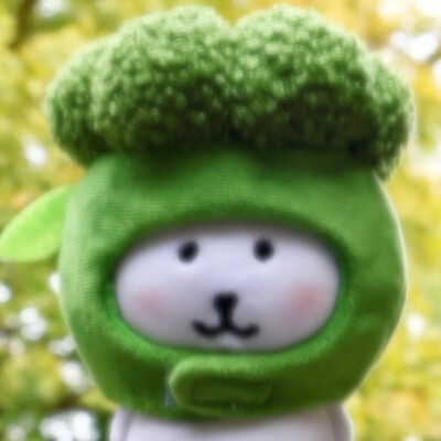 自嘲熊头像
图源各处