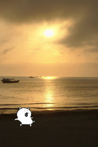 自嘲熊头像
图源各处