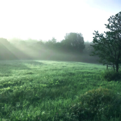 背景图