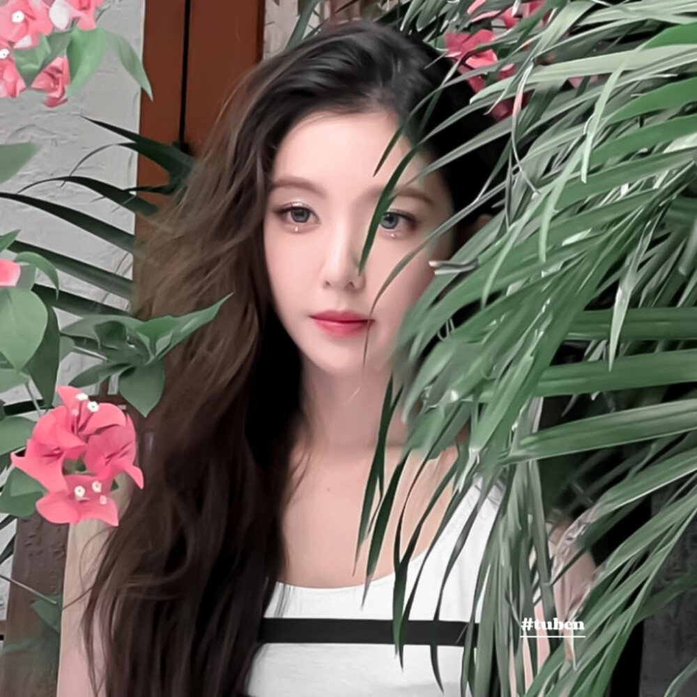 兔本电台给我的!