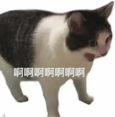 啊啊啊.