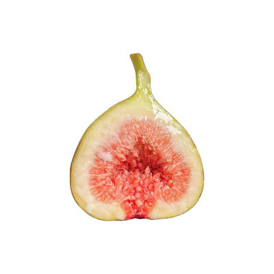 无花果白底头像
