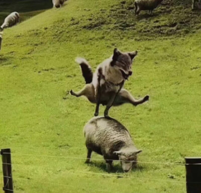 可爱搞怪头像