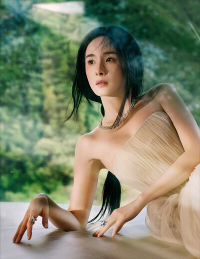杨幂