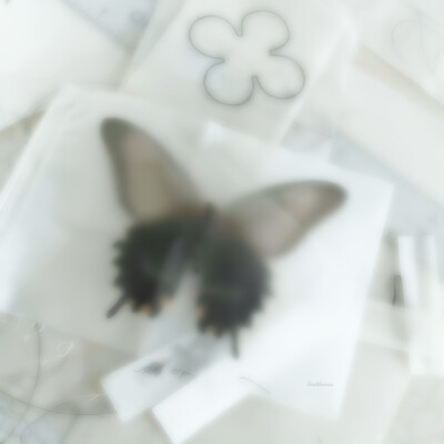 喜欢相炫是天赋˃ʍ˂