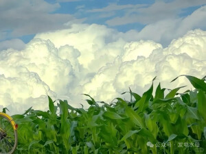 壁纸背景