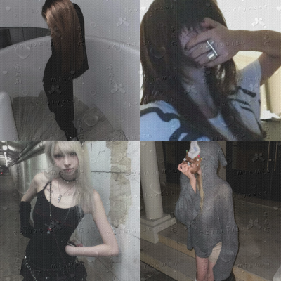 图Tick1back