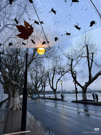 rainy