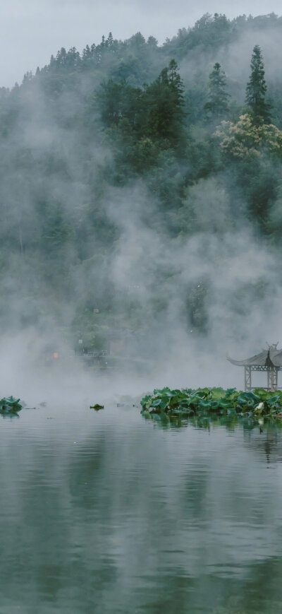 景