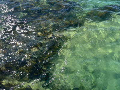 海