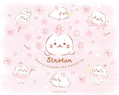 小海豹可爱图