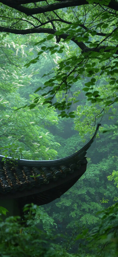 景