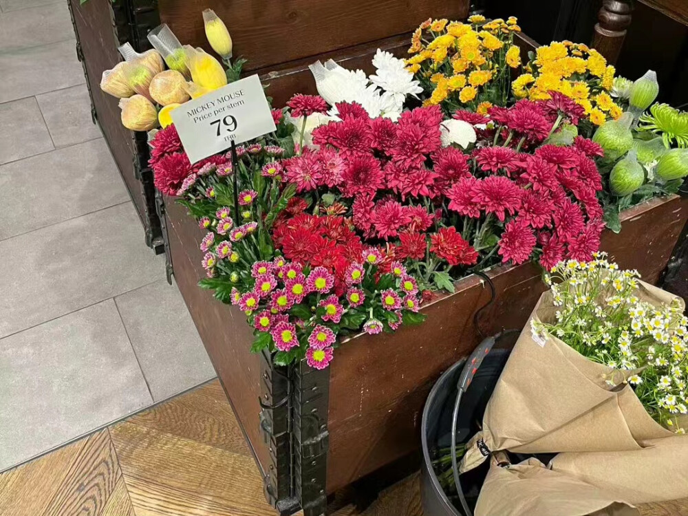 电脑壁纸 iPad壁纸