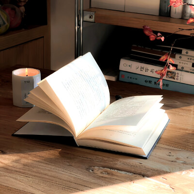 青鸟计划のBluebird Project《淮树岭》