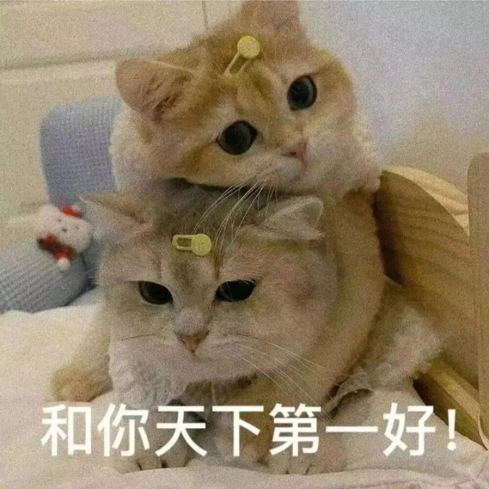 表情包