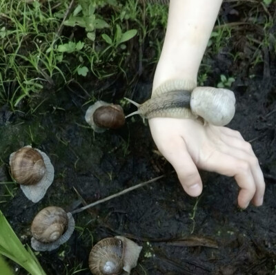 ？