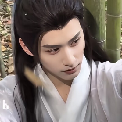 柳随风