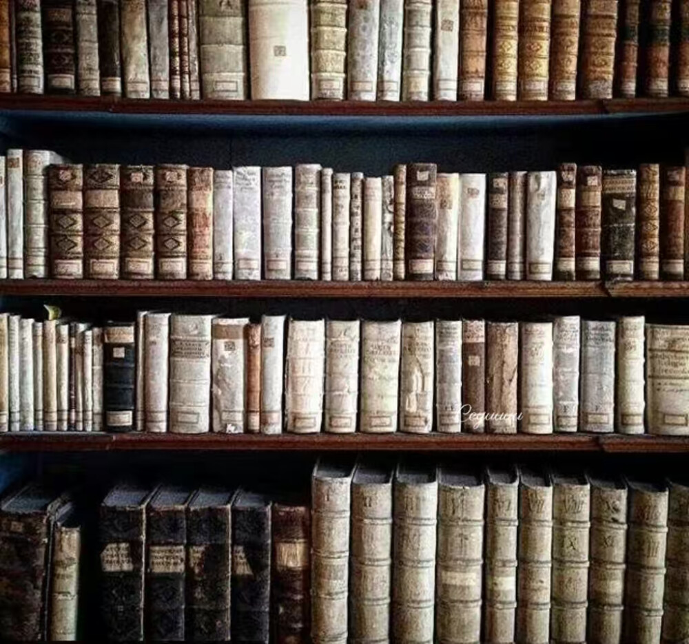 secondhand bookstore、破损的信在煤油灯下泛黄