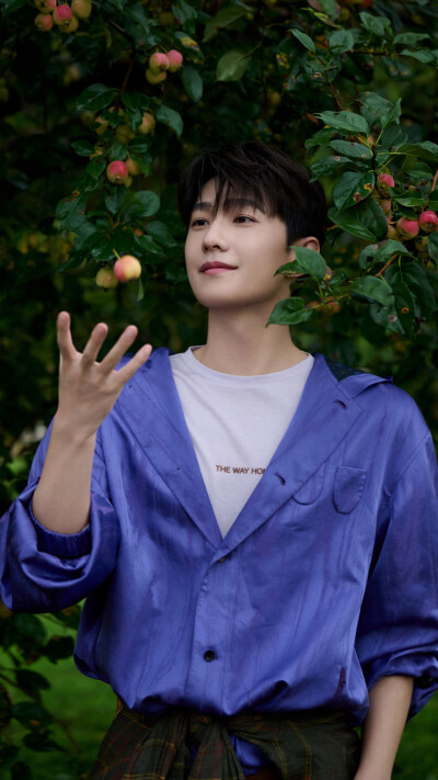 杨洋