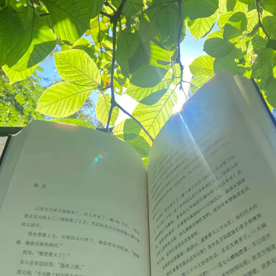 绿色系背景图