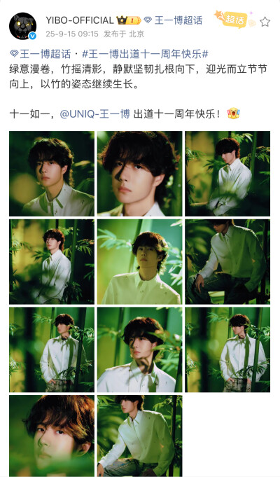 #王一博[超话]# · #王一博出道十一周年快乐#
绿意漫卷，竹摇清影，静默坚韧扎根向下，迎光而立节节向上，以竹的姿态继续生长。
十一如一，@UNIQ-王一博 出道十一周年快乐！[打call] ​​​