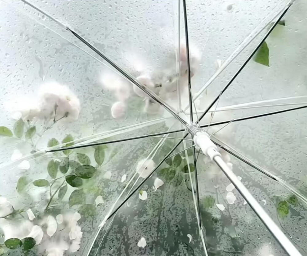 背景图