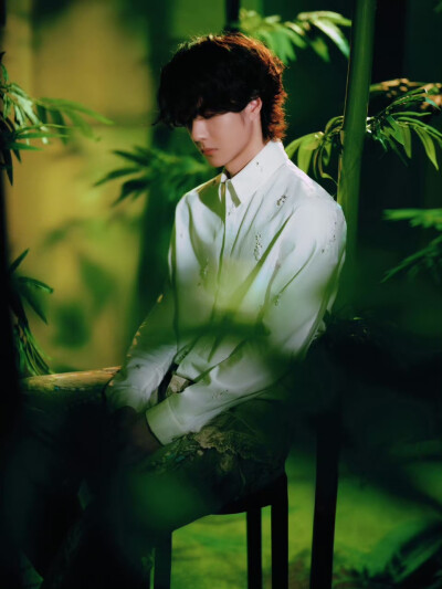 #王一博[超话]# · #王一博出道十一周年快乐#
绿意漫卷，竹摇清影，静默坚韧扎根向下，迎光而立节节向上，以竹的姿态继续生长。
十一如一，@UNIQ-王一博 出道十一周年快乐！[打call] ​​​