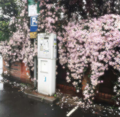 背景图