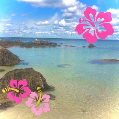 TropicalCore