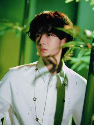 #王一博[超话]# · #王一博出道十一周年快乐#
绿意漫卷，竹摇清影，静默坚韧扎根向下，迎光而立节节向上，以竹的姿态继续生长。
十一如一，@UNIQ-王一博 出道十一周年快乐！[打call] ​​​