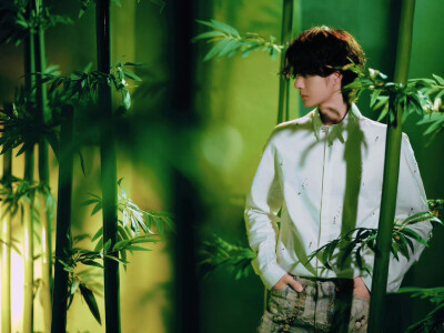 #王一博[超话]# · #王一博出道十一周年快乐#
绿意漫卷，竹摇清影，静默坚韧扎根向下，迎光而立节节向上，以竹的姿态继续生长。
十一如一，@UNIQ-王一博 出道十一周年快乐！[打call] ​​​