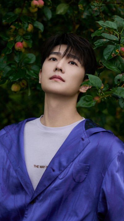 杨洋