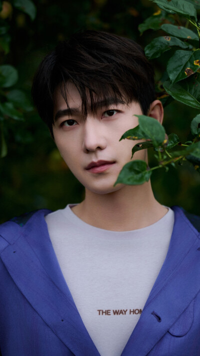 杨洋