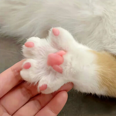 图源ks：偷喝汽水