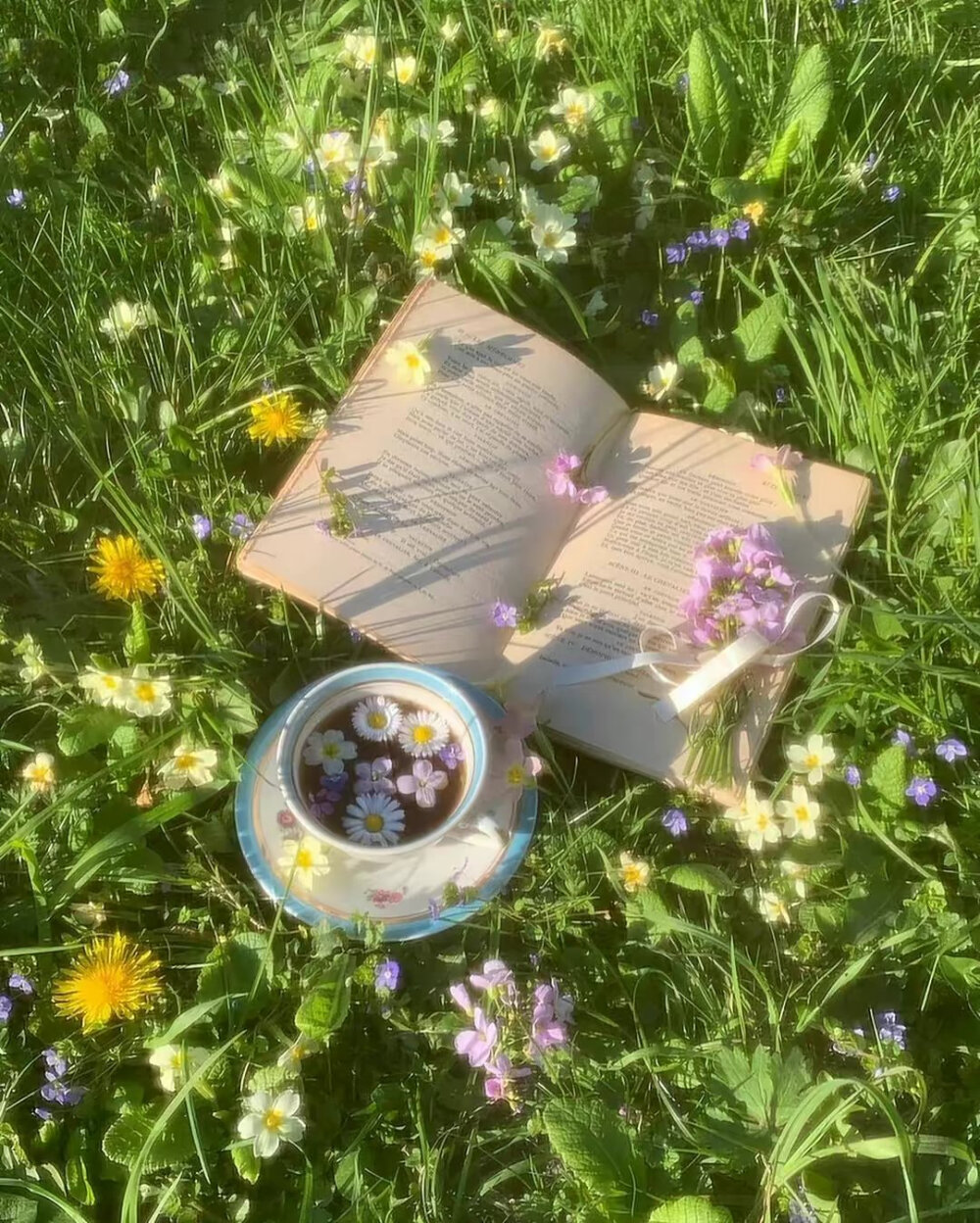 背景图*绿色系(∗❛ั∀❛ั∗)✧*。