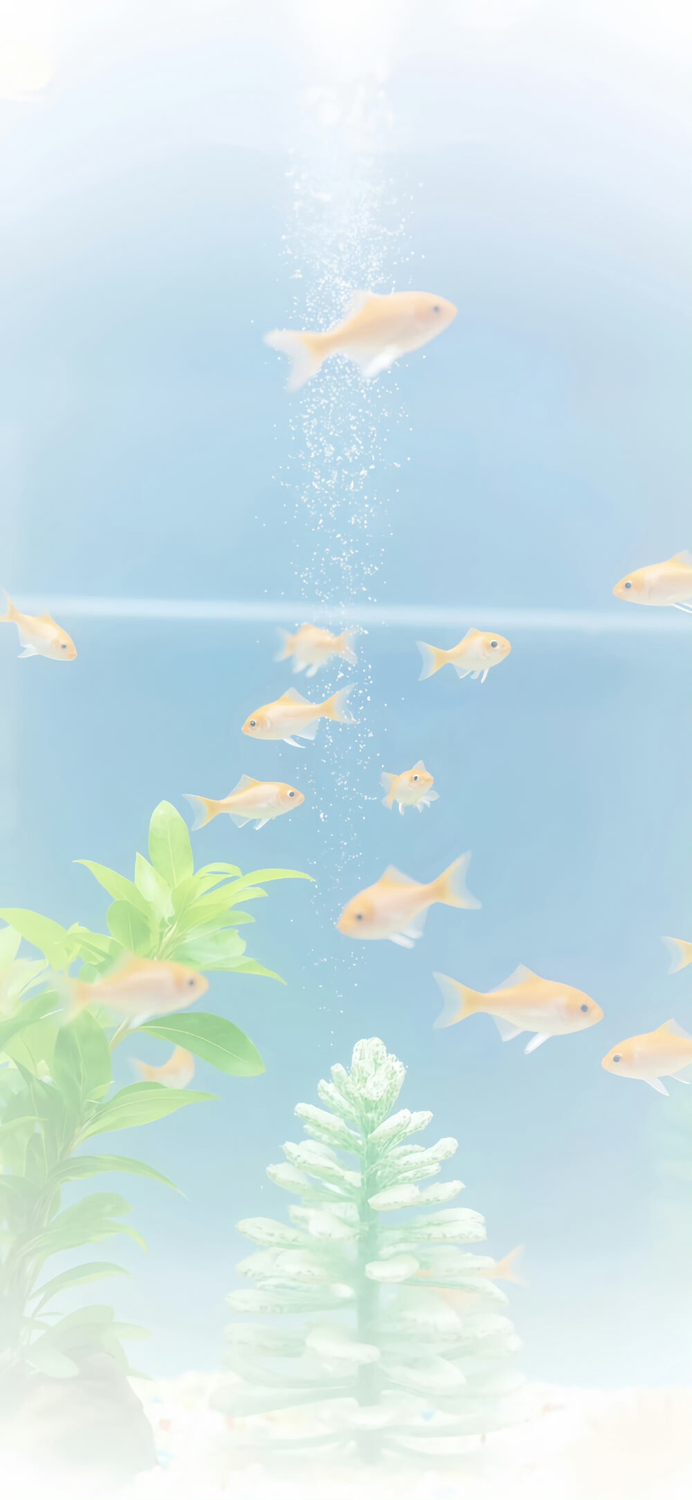 聊天背景图