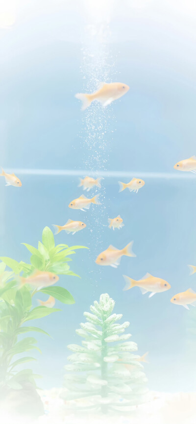 聊天背景图