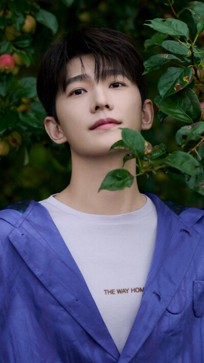 杨洋