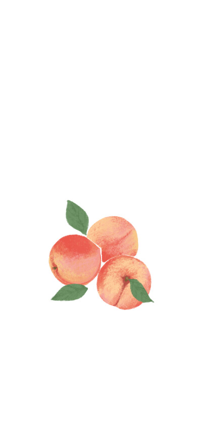 壁纸