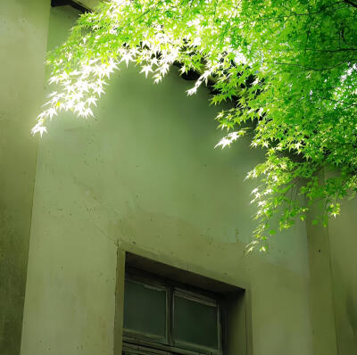 绿色系背景图
