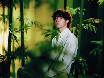 YIBO-OFFICIAL：
#王一博出道十一周年快乐#
绿意漫卷，竹摇清影，静默坚韧扎根向下，迎光而立节节向上，以竹的姿态继续生长。
十一如一，@UNIQ-王一博 出道十一周年快乐！