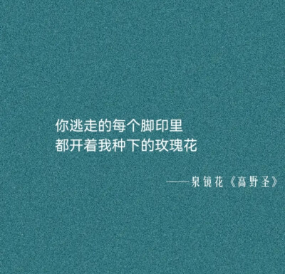 好词好句